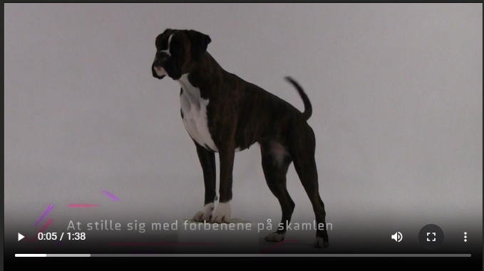 Øvelser med en skammel