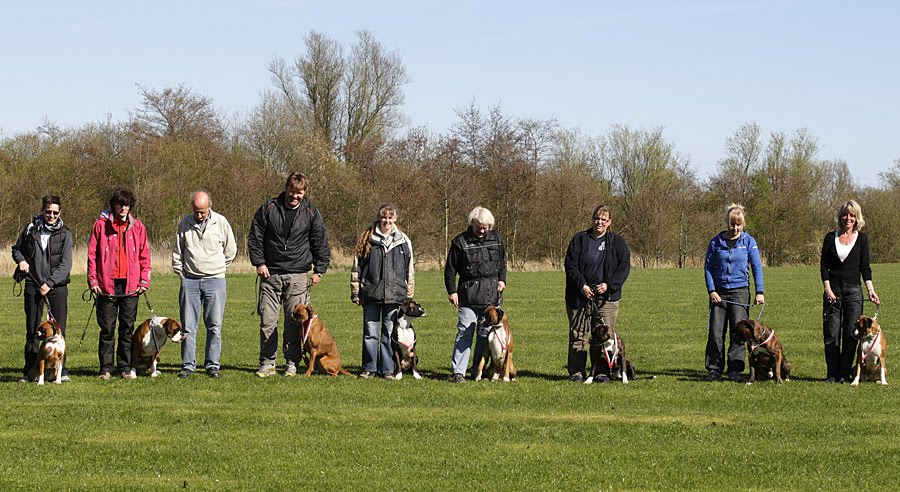 Pr&oslash;vedag i Boxergruppe Aarhus i april 2009