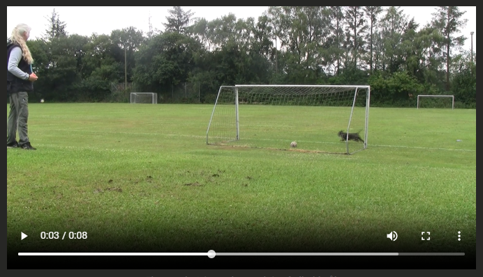 Rundering – At løbe rundt om ting